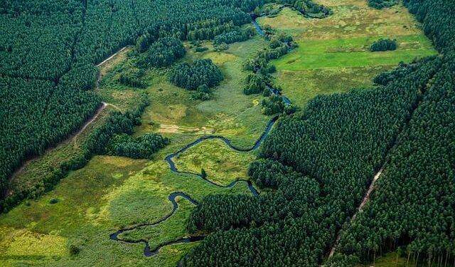 Poland, Hungary and Slovakia defy Brussels as Ukraine trade deal takes effect – politico.eu