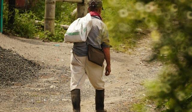 Armenia’s regulator moves to strip Karapetyan’s firm of power grid licence – OC Media