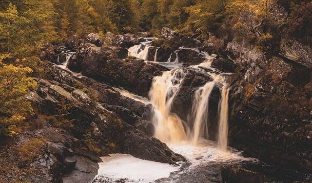 Scotland 4-2 Denmark highlights: World Cup qualification clinched after epic – BBC