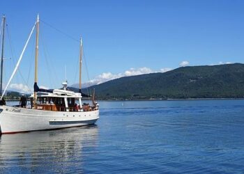 Foreign investors eye new opportunities as Türkiye’s startup ecosystem gains momentum – Türkiye Today