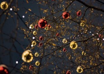 Tree of joy and Christmas lights go up in Guernsey – Yahoo News Australia