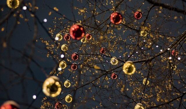 Tree of joy and Christmas lights go up in Guernsey – Yahoo News Australia