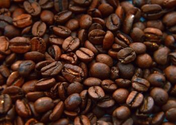 Liechtenstein – Deputy Prime Minister and Minister for Foreign Affairs, Environment and Culture Addresses General Debate, 80th Session – UN Media