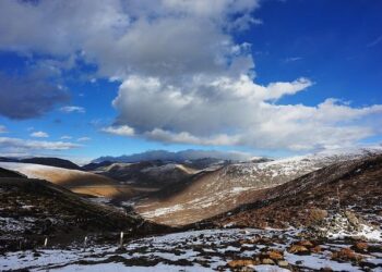 When roads cross wilderness areas, plant pathogens can hitch a ride – Mongabay