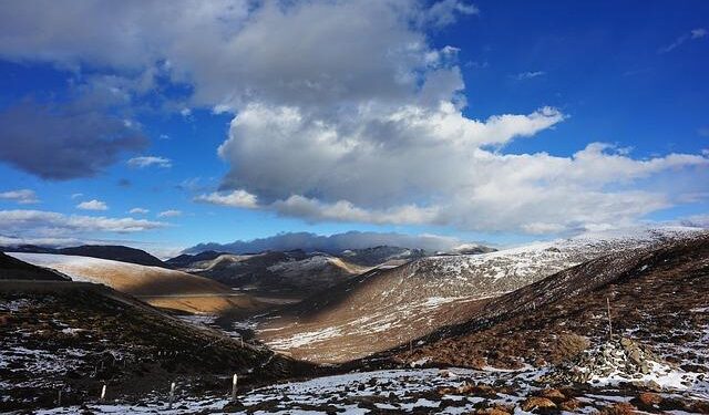 When roads cross wilderness areas, plant pathogens can hitch a ride – Mongabay