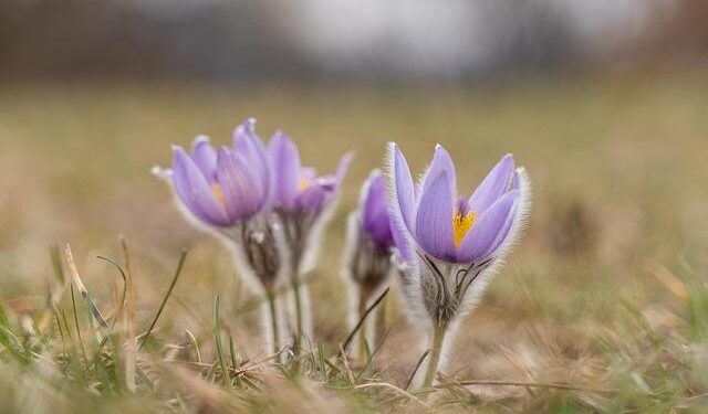 Implementation of lower US tariffs on Switzerland targeted in coming days – Yahoo Finance