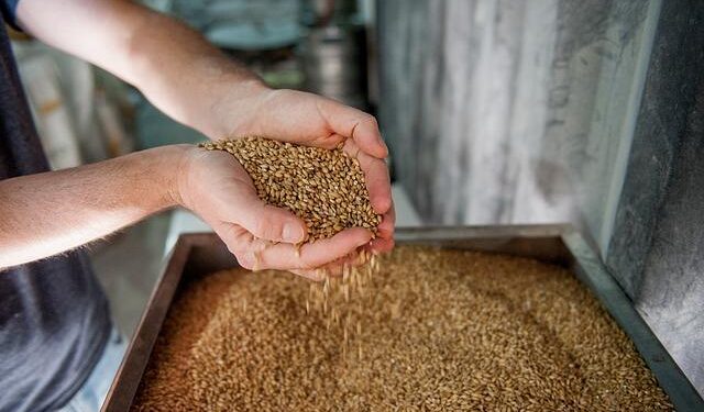 Specialty Malt Industry Analysis in the United Kingdom | Global Market Analysis Report – 2035 – Fact.MR
