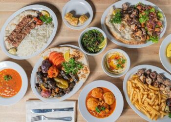 Palestinian Ambassador in Tirana Speaks on Possibilities of Kosovo’s Recognition – Albanian Daily News