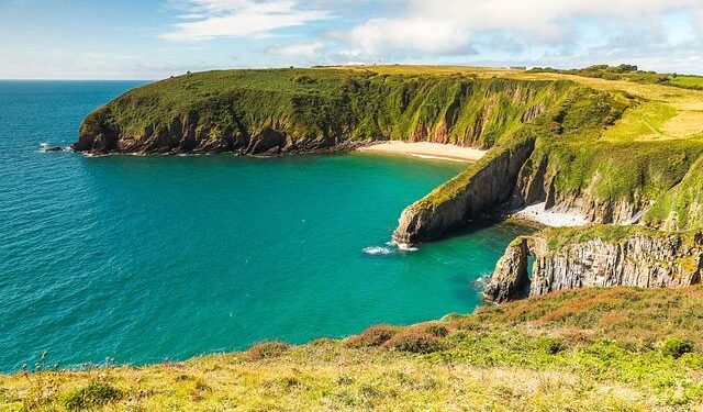Wales 7-1 North Macedonia: Wilson hat-trick caps off memorable night as Dragons roar in Cardiff – 101greatgoals.com