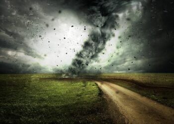 COP 30: Switzerland reinvigorates its climate offsetting plan – SWI swissinfo.ch