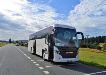 Hasek out as Czech coach after Faroe Islands upset – Reuters