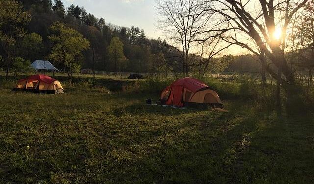 Georgia faces European Parliament’s criticism over rule of law and Russian influence – Euronews.com
