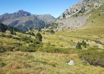 Video: WynTV Trackwalk Andorra World Cup 2025 – Pinkbike