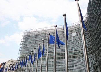 EU Commission pledges to protect Belgium over Russian assets – politico.eu