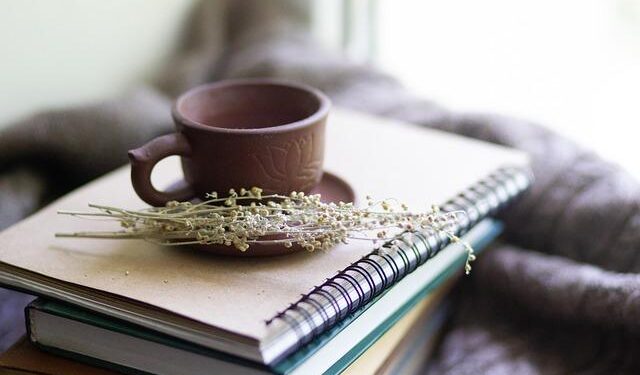 Chinese exporters charge Russia more for war supplies – Financial Times