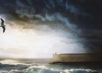 Noah and Alashkert play a high-scoring draw, Ararat-Armenia become the new sole leader – Sportaran