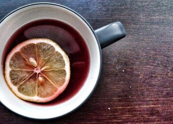 These strange, blubbery giants weigh up to a tonne and can grow as long as a car – awe-inspiring Arctic powerhouses that can crush anything in their path – BBC Wildlife Magazine