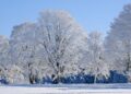 Snow returns to Latvia at the start of the week: slippery roads and subzero temperatures expected – Baltic News Network