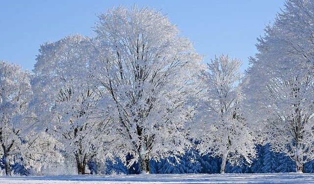Snow returns to Latvia at the start of the week: slippery roads and subzero temperatures expected – Baltic News Network