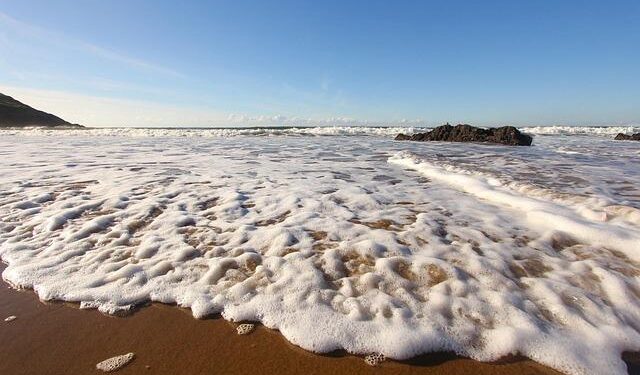 Can you name Wales XI from 2009 win in Liechtenstein? – BBC