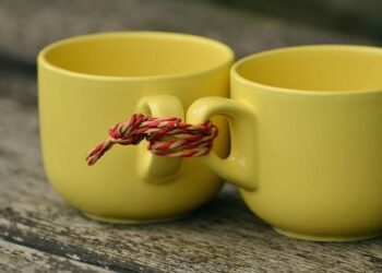 From statelessness to belonging: Amida’s story and North Macedonia’s landmark victory – UNHCR – The UN Refugee Agency