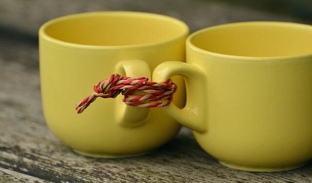 From statelessness to belonging: Amida’s story and North Macedonia’s landmark victory – UNHCR – The UN Refugee Agency