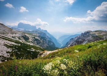 CIMA highlights lack of cost relief for businesses in UK budget – theaccountant-online.com