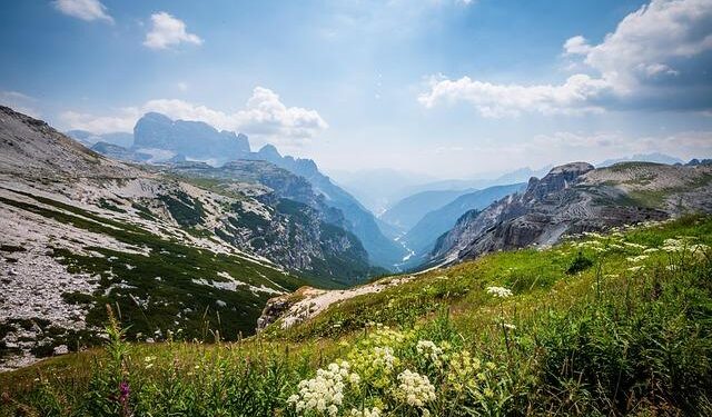 CIMA highlights lack of cost relief for businesses in UK budget – theaccountant-online.com