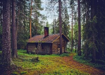 Finland Monthly GDP Contracts at Softer Pace – TradingView