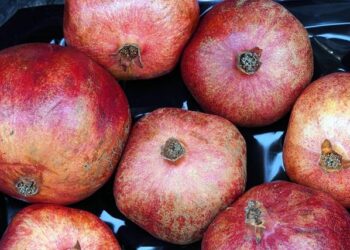 Call for more Manx produce in supermarkets – BBC