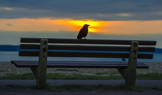 Lee Kang-in starts as PSG lose 0-1 to Monaco, South Korea midfielder sees title lead shrink – CHOSUNBIZ – Chosunbiz