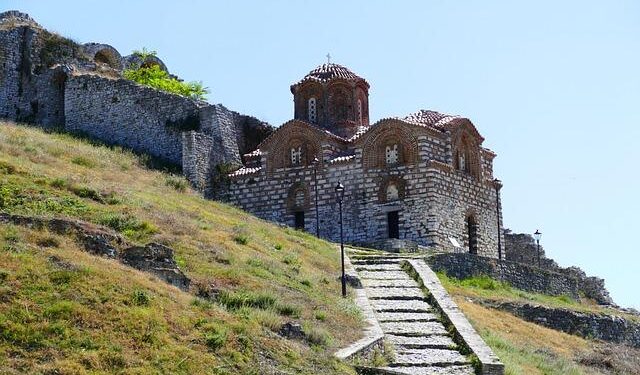 Albanian volunteers struggle to save scorched livestock as wildfires subside – Reuters