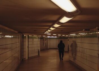 How a 400-metre tunnel transformed Croatia’s most famous wine region – Croatia Week