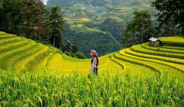 Meet The Women Who Made History By Overwintering On Svalbard Without Men – Forbes