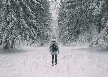 Will first snow of season snarl Tuesday commute in North Jersey? – Bergen Record