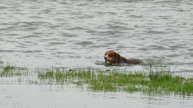 The Sustainability Myth – Sea Shepherd Conservation Society