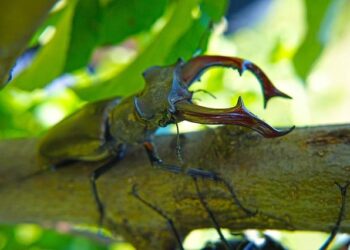 Dalibor Rohac: The US and the world need Poland as a full member of G20 – Chicago Tribune