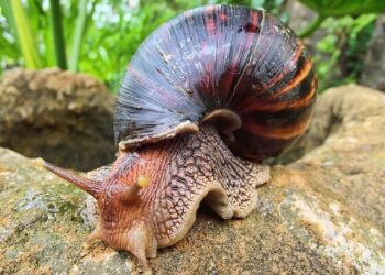 Why More South Africans Are Weighing A Move To Cyprus – 2oceansvibe News