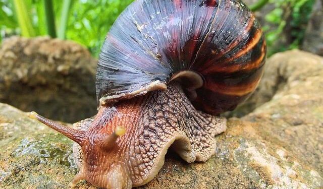 Why More South Africans Are Weighing A Move To Cyprus – 2oceansvibe News