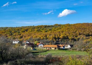 EU4Youth: Eastern Partnership institutions explore Austria’s model for recognising skills gained outside formal education – EU NEIGHBOURS east