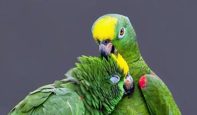 Amazon pays Italy 180 million euros to end tax, labour probe, sources say – Reuters