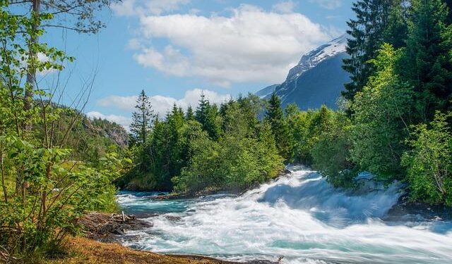 From Norway with love – Free as a Bird – Cross Country Magazine