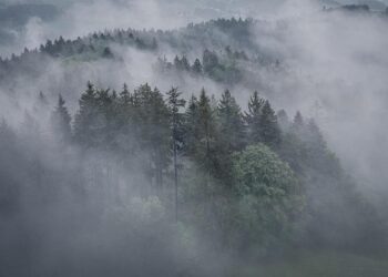 How A Ukrainian Drone Strike On Russia Has Crippled Kazakh Oil Exports – Radio Free Europe/Radio Liberty