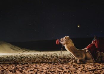 Could You Live in Complete Darkness for 3 Months Straight? – Yahoo Creators