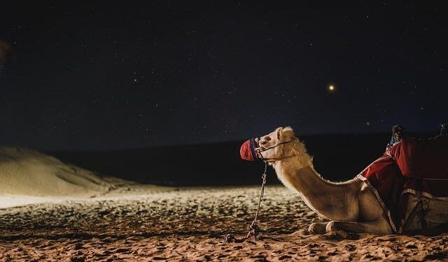 Could You Live in Complete Darkness for 3 Months Straight? – Yahoo Creators