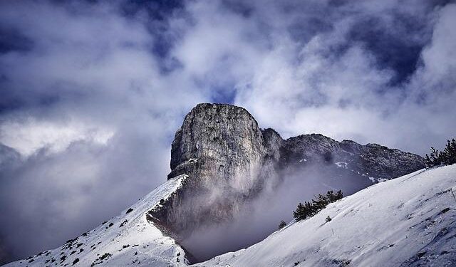 Switzerland adopts negotiating mandate for tariff agreement with US – SWI swissinfo.ch