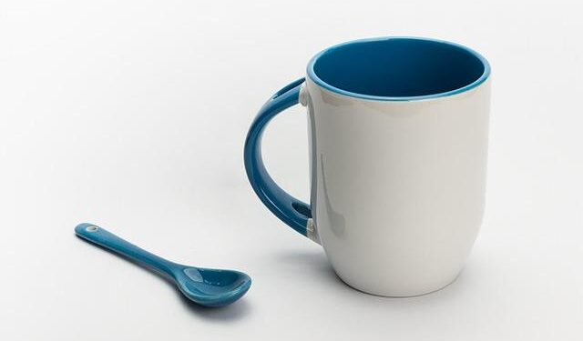 Guide to Group J at World Cup 2026 – The New York Times