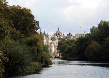 Councilman James Solomon defeats ex-Gov. Jim McGreevey in Jersey City mayor’s race – New Jersey Monitor