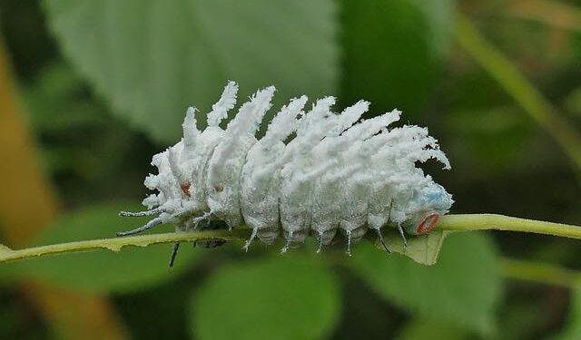 Caterpillar in the U.K. – Caterpillar Inc