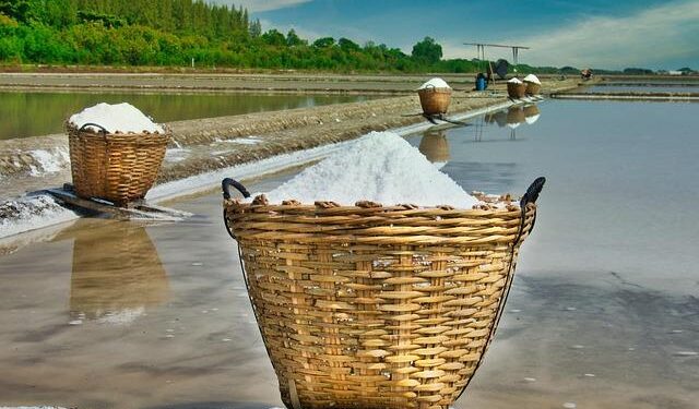 Alina Habba, a Trump Loyalist, Resigns as New Jersey’s Top Prosecutor – GV Wire